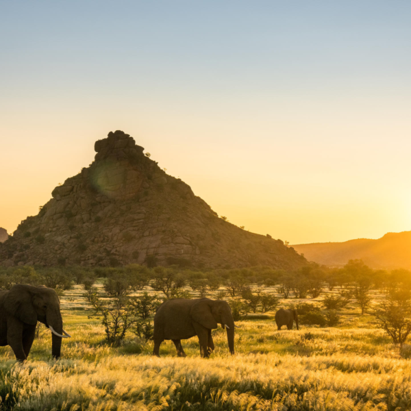 Mowani Mountain Camp - Image 6
